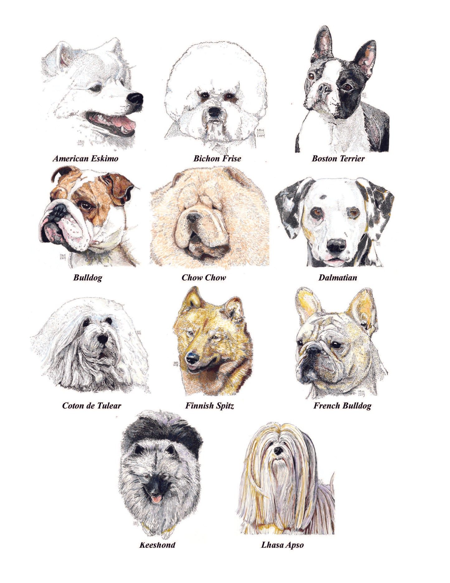 Color Me Canine (Non Sporting Group)