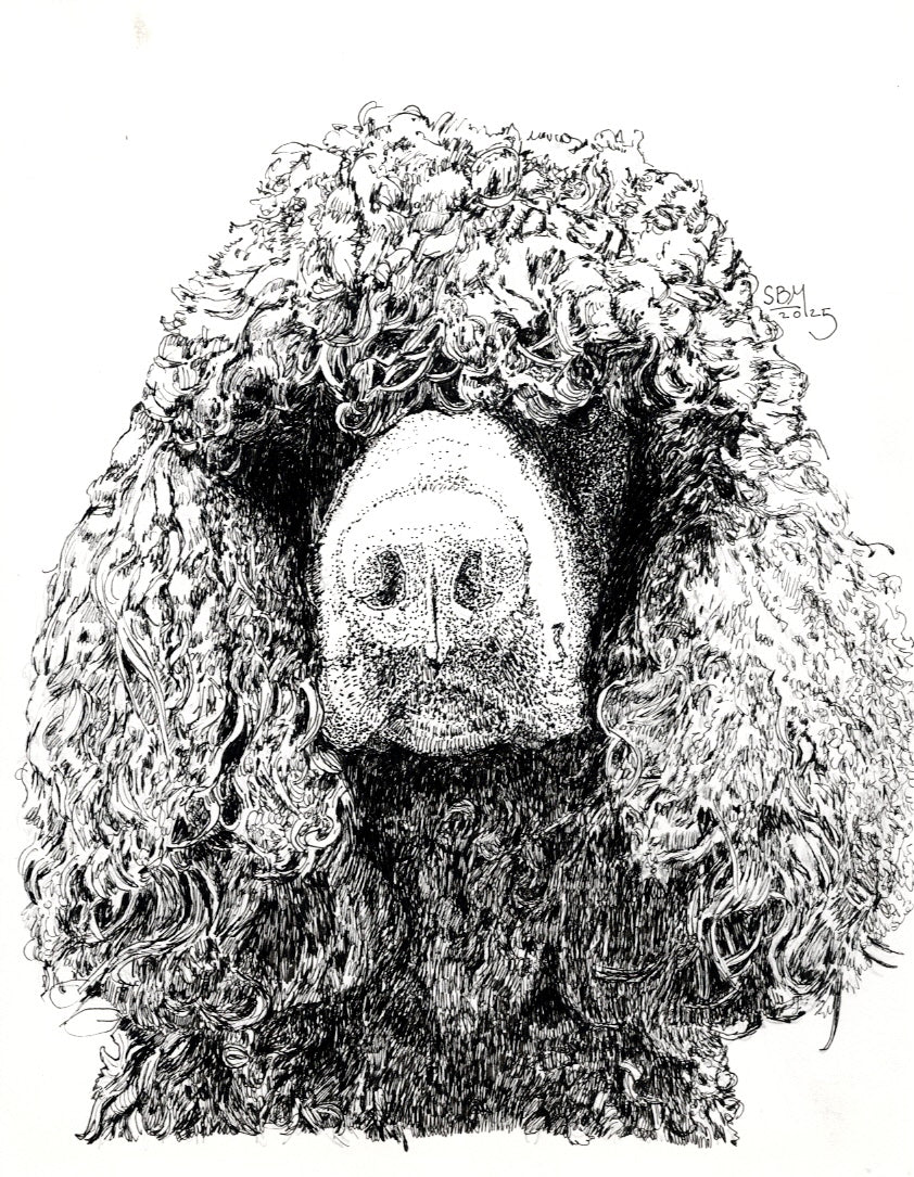 Irish Water Spaniel