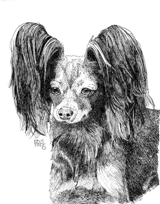 A pen and ink Headshot portrait of a Russian Toy