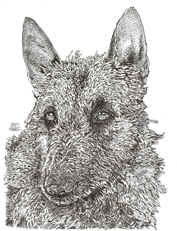 Belgian Laekenois 10 cards