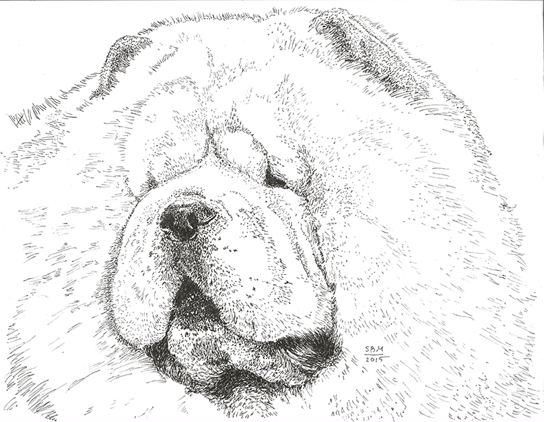 Chow Chow Cards 10 Cards