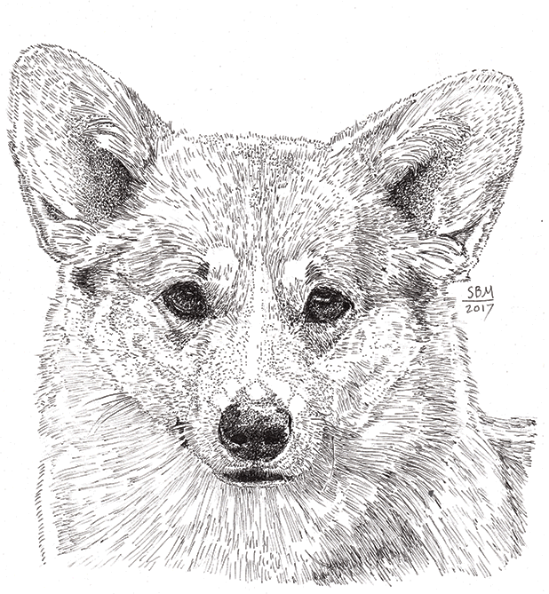 Welsh Corgi Pembroke Cards 10 Cards