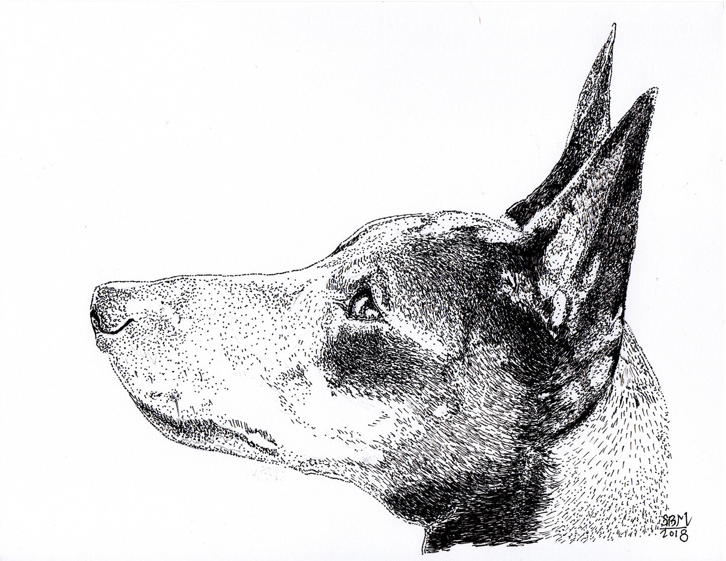 Manchester Terrier (Toy) Print