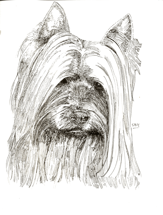 Silky Terrier Rocket Print