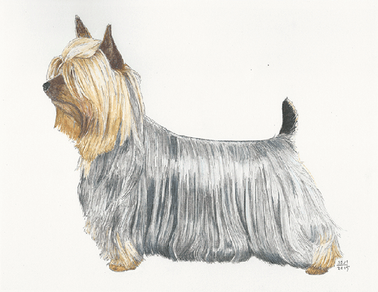 Gift Cards -- Ideal for the Ambivalent!