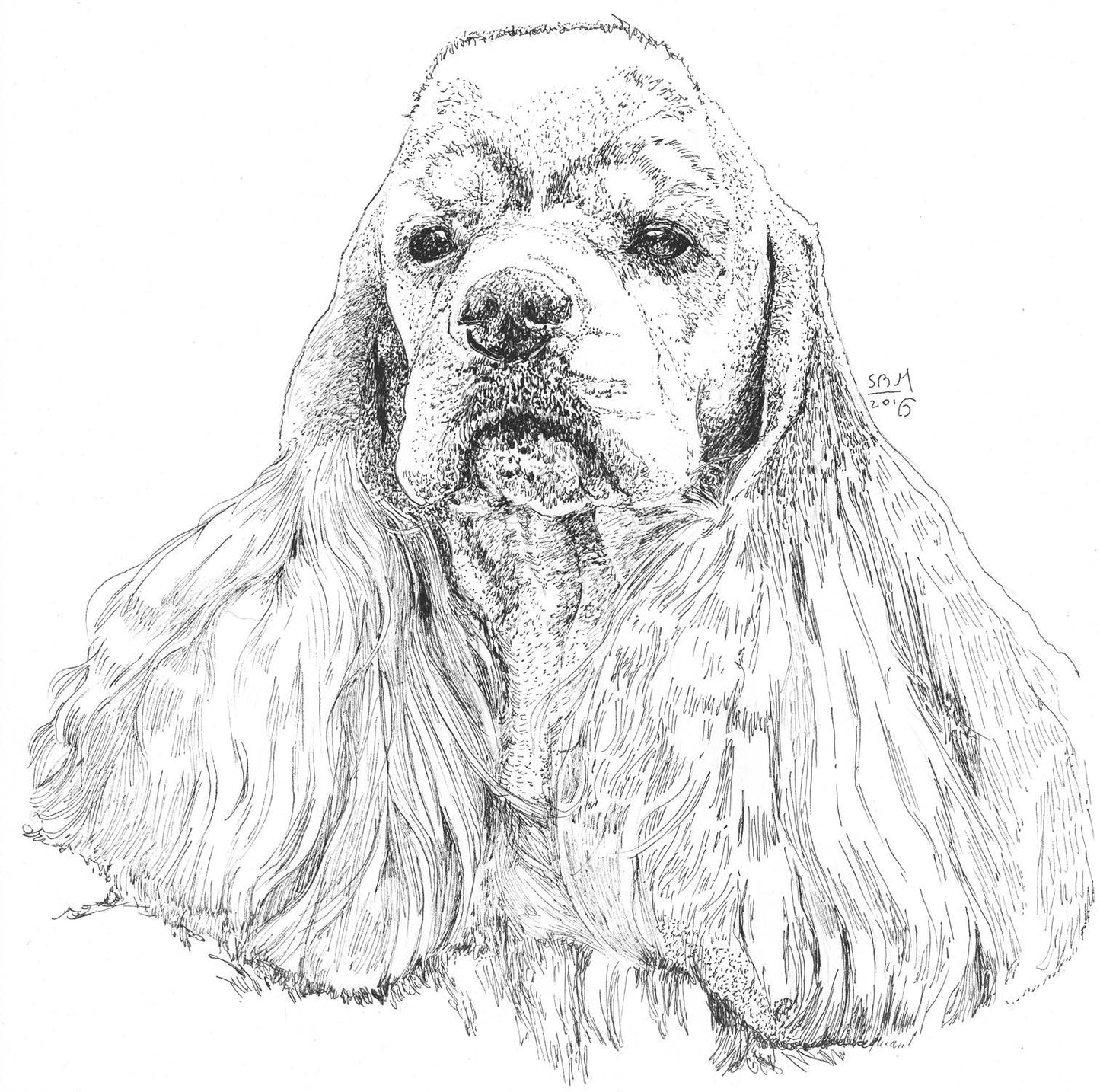 Greeting cards with a detailed pen and ink headshot portrait of a Cocker Spaniel