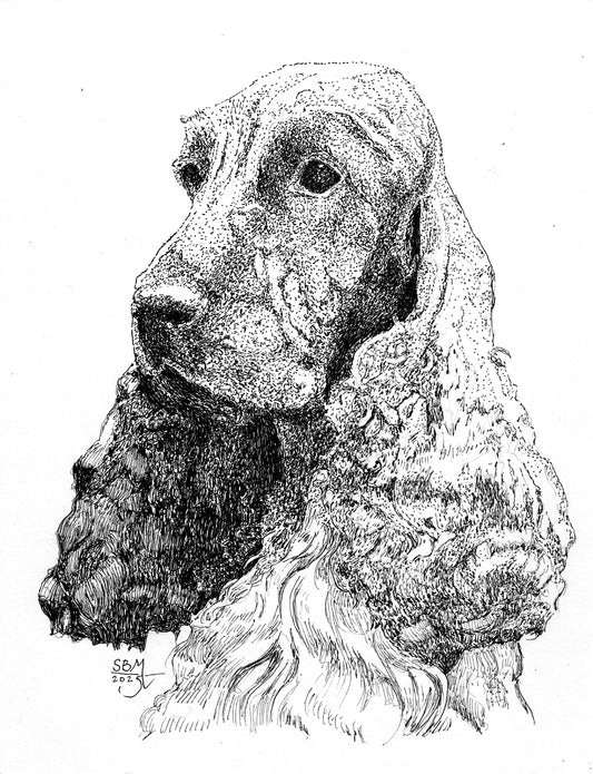 Greeting cards with a detailed pen and ink headshot portrait of an English Cocker Spaniel