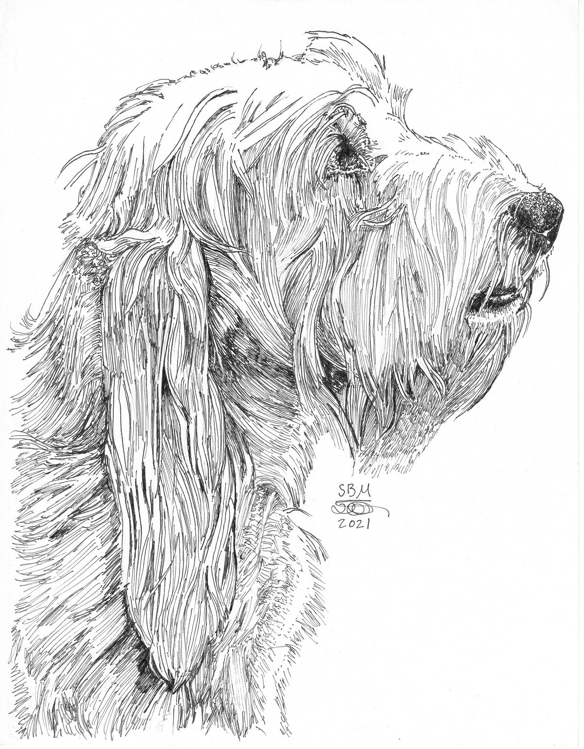 Dog Art Print -- Grand Basset Griffon Vendeen
