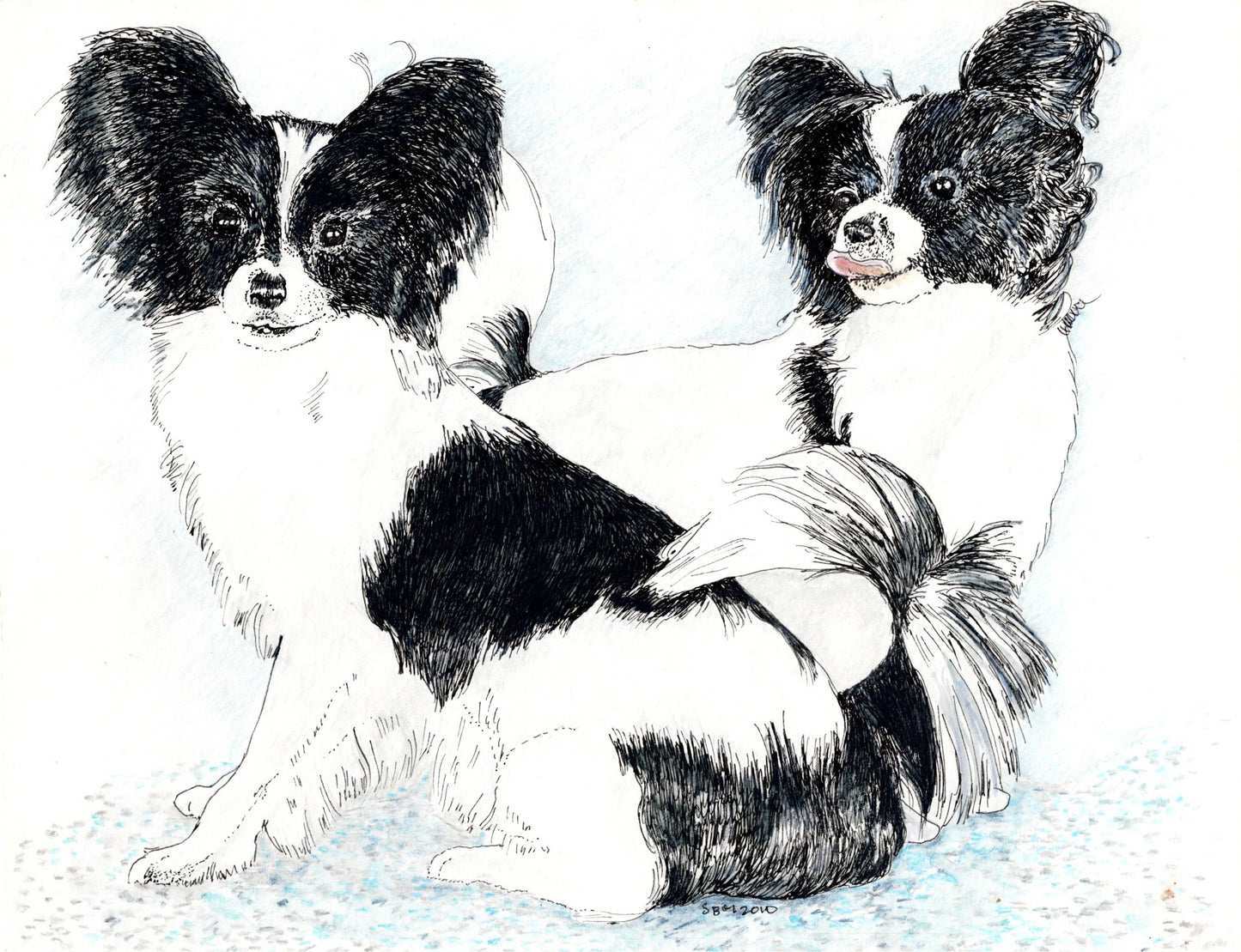 Papillon Sisters