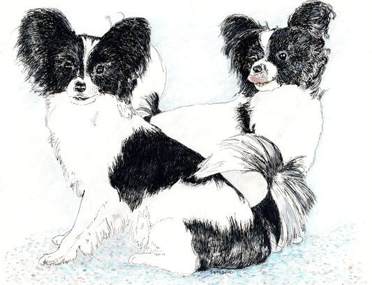 Papillon Sisters