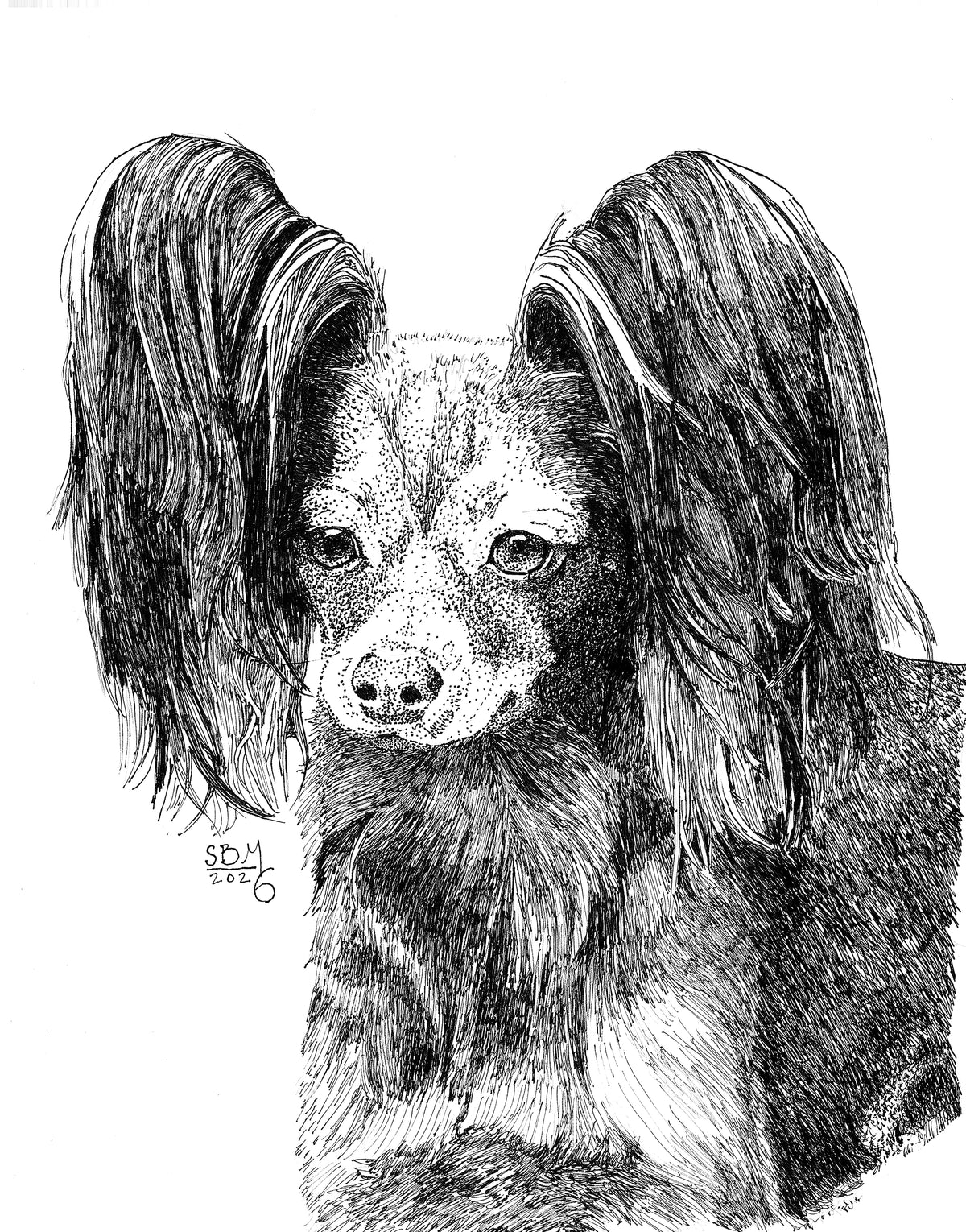 A pen and ink Headshot portrait of a Russian Toy