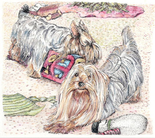 Shiela and Rocket