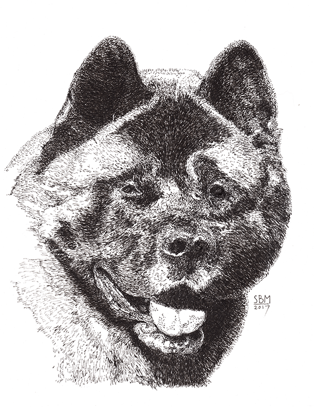 Akita Cards 10 Cards