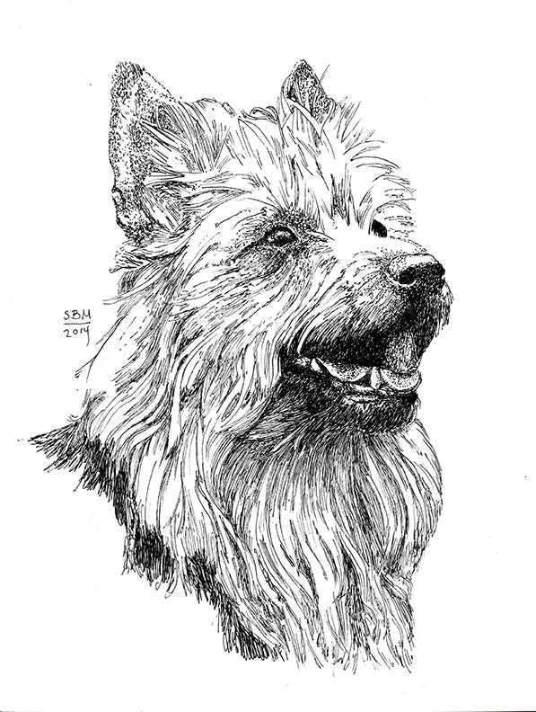 Australian Terrier Cards 10 Cards