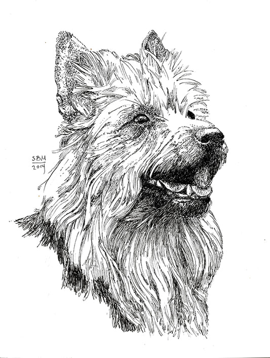 Australian Terrier Cards 10 Cards