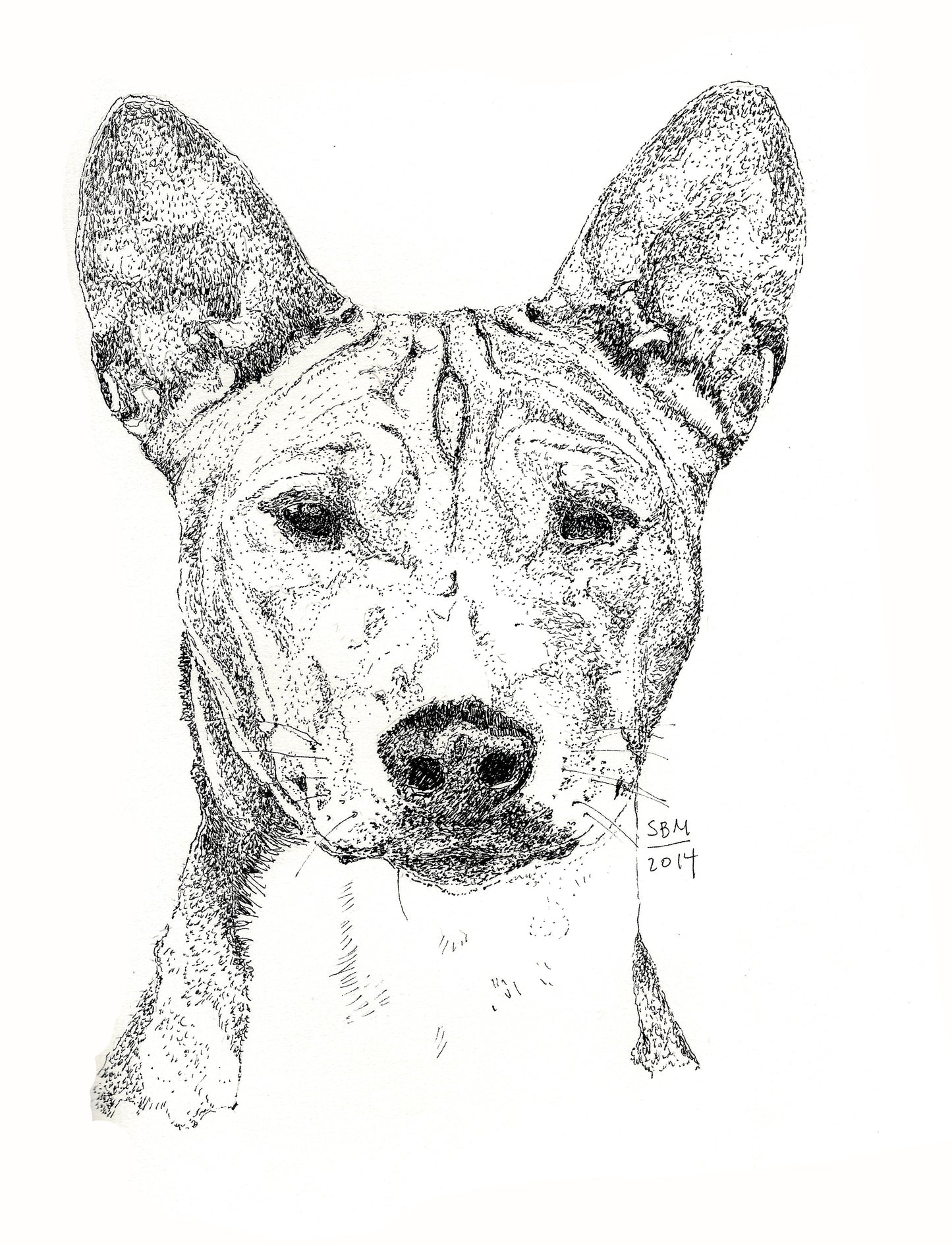 Basenji Cards 10 Cards