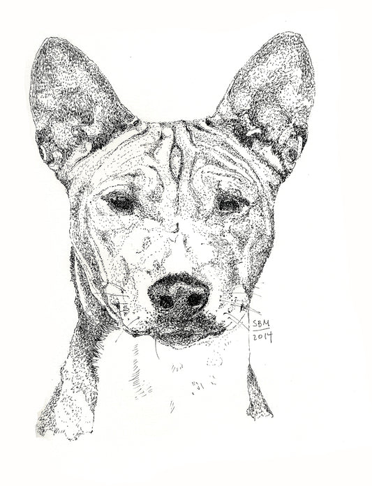 Basenji Cards 10 Cards