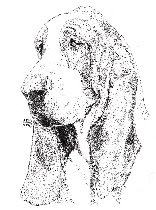 Bassett Hound Cards 10 Cards