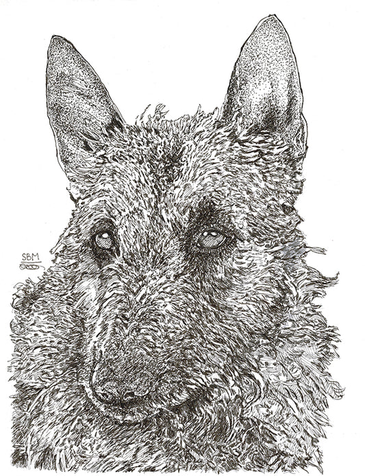 Belgian Laekenois Print