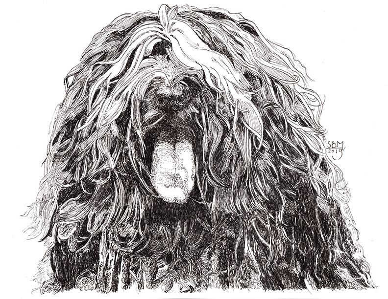 Bergamasco Sheepdog Cards 10 cards