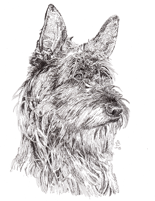Berger Picard Print