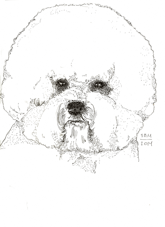 Bichon Frise Print