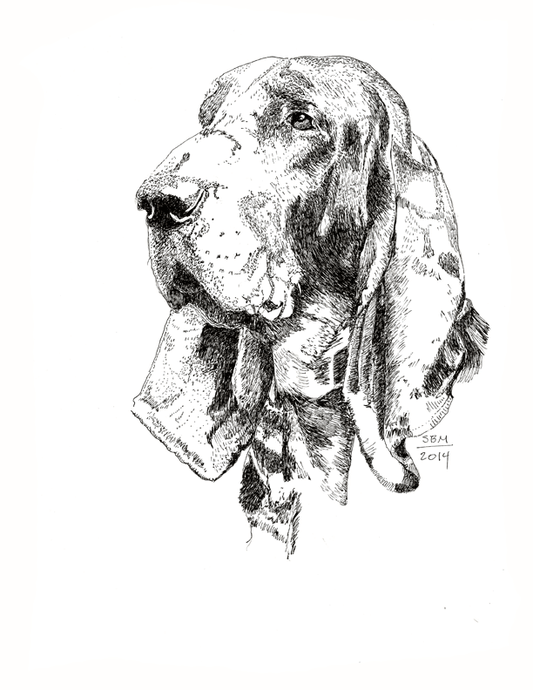 Black and Tan Coonhound Cards 10 Cards