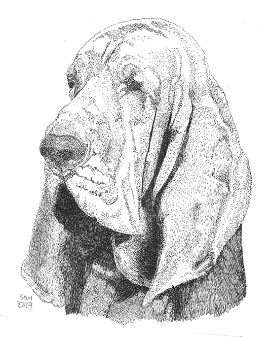 Bloodhound Cards 10 Cards