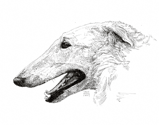 Borzoi Cards 10 Cards