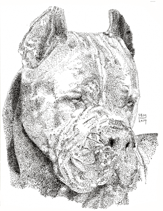 Cane Corso Cards 10 Cards