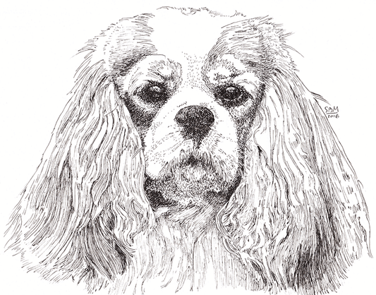 Cavalier King Charles Spaniel Cards 10 Cards