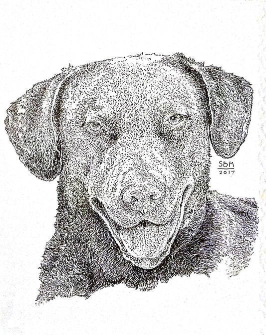 Chesapeake Bay Retriever Cards 10 Cards