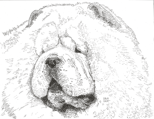Chow Chow Cards 10 Cards