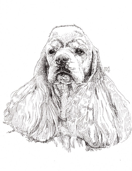 Cocker Spaniel Cards 10 Cards