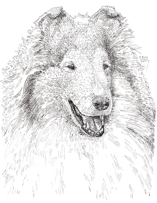 Collie Rough Cards 10 Cards