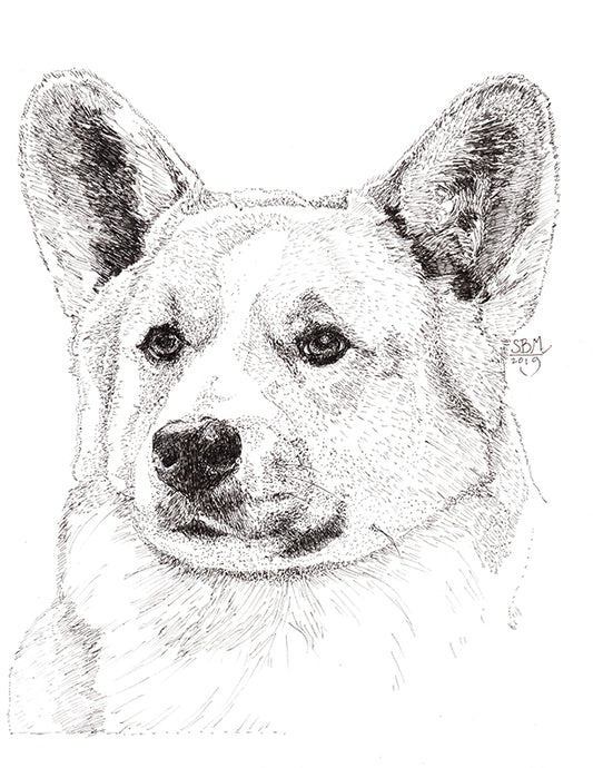 Welsh Corgi Pembroke Too Cards 10 Cards