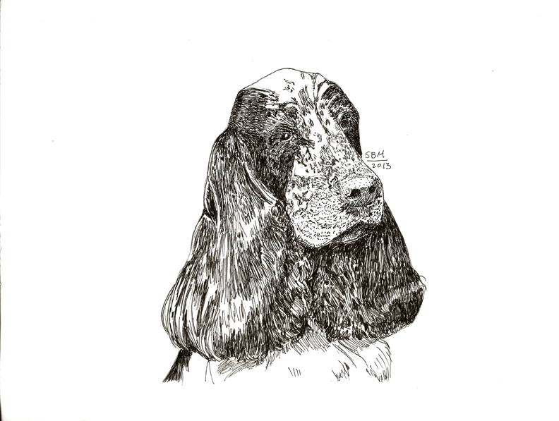 English Cocker Spaniel Cards 10 Cards