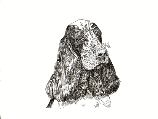 English Cocker Spaniel Cards 10 Cards