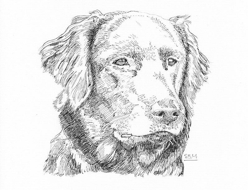 Flat Coated Retrievers Cards 10 Cards
