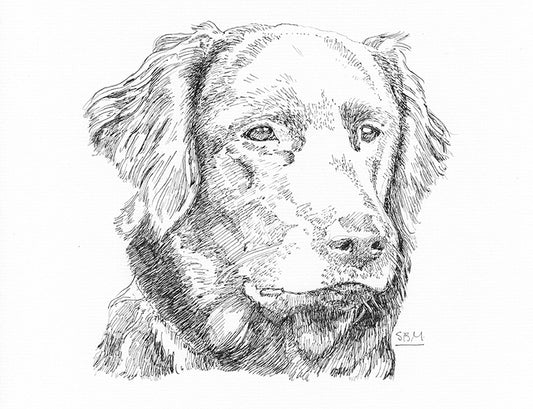 Flat Coated Retrievers Cards 10 Cards