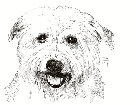 Glen of Imaal Terrier Cards 10 Cards