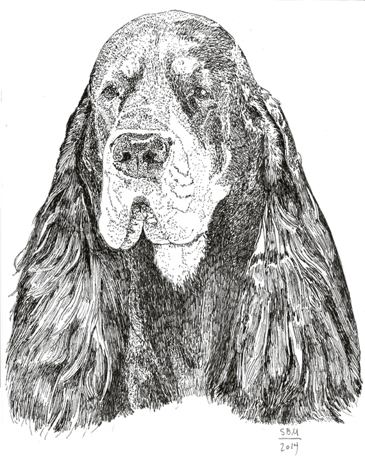 Gordon Setter Cards 10 Cards