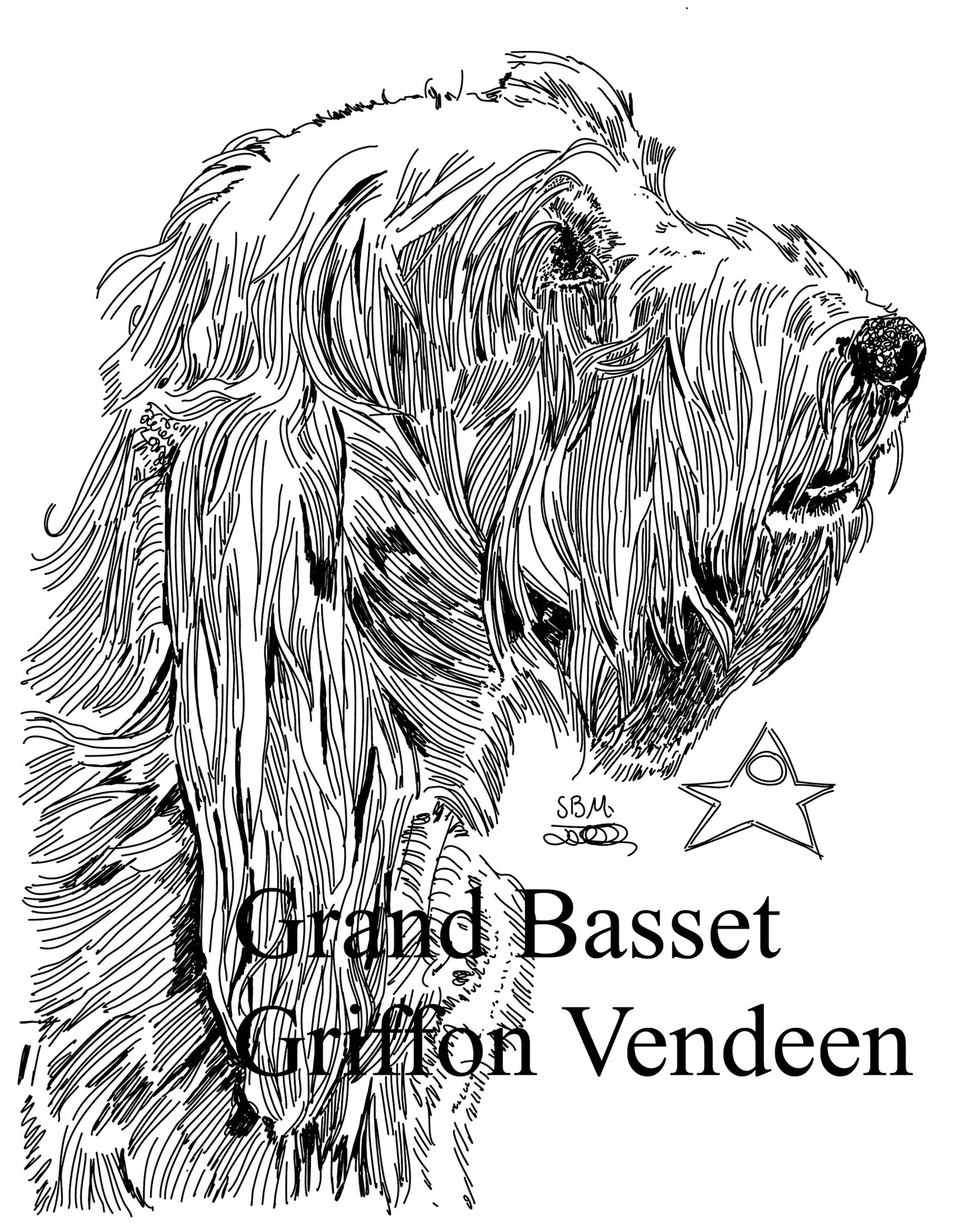 Color Me Canine (Hound Group)