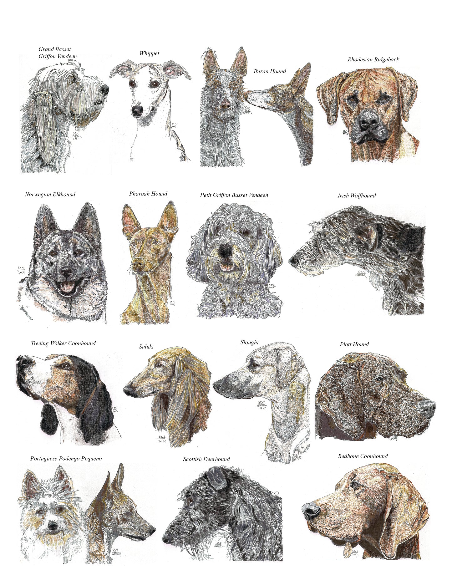 Color Me Canine (Hound Group)