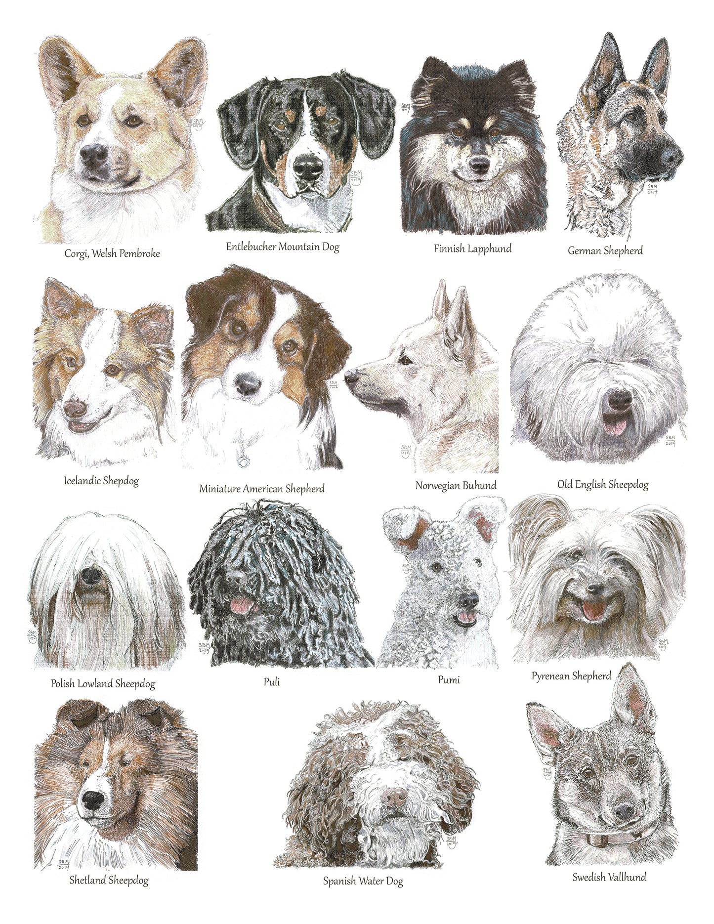 Color Me Canine (Herding Group)