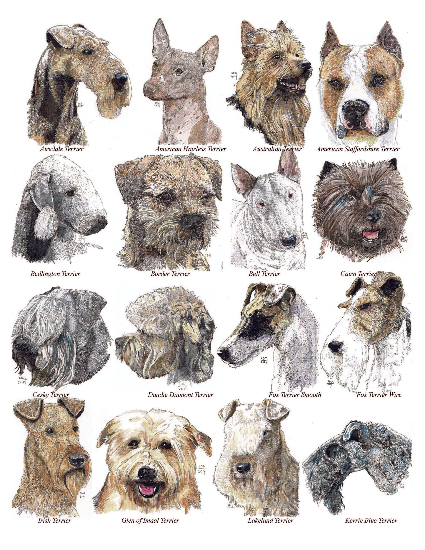 Color Me Canine (Terrier Group)