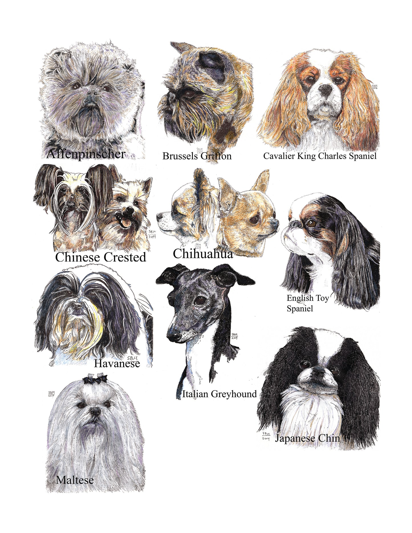 Color Me Canine (Toy Group)