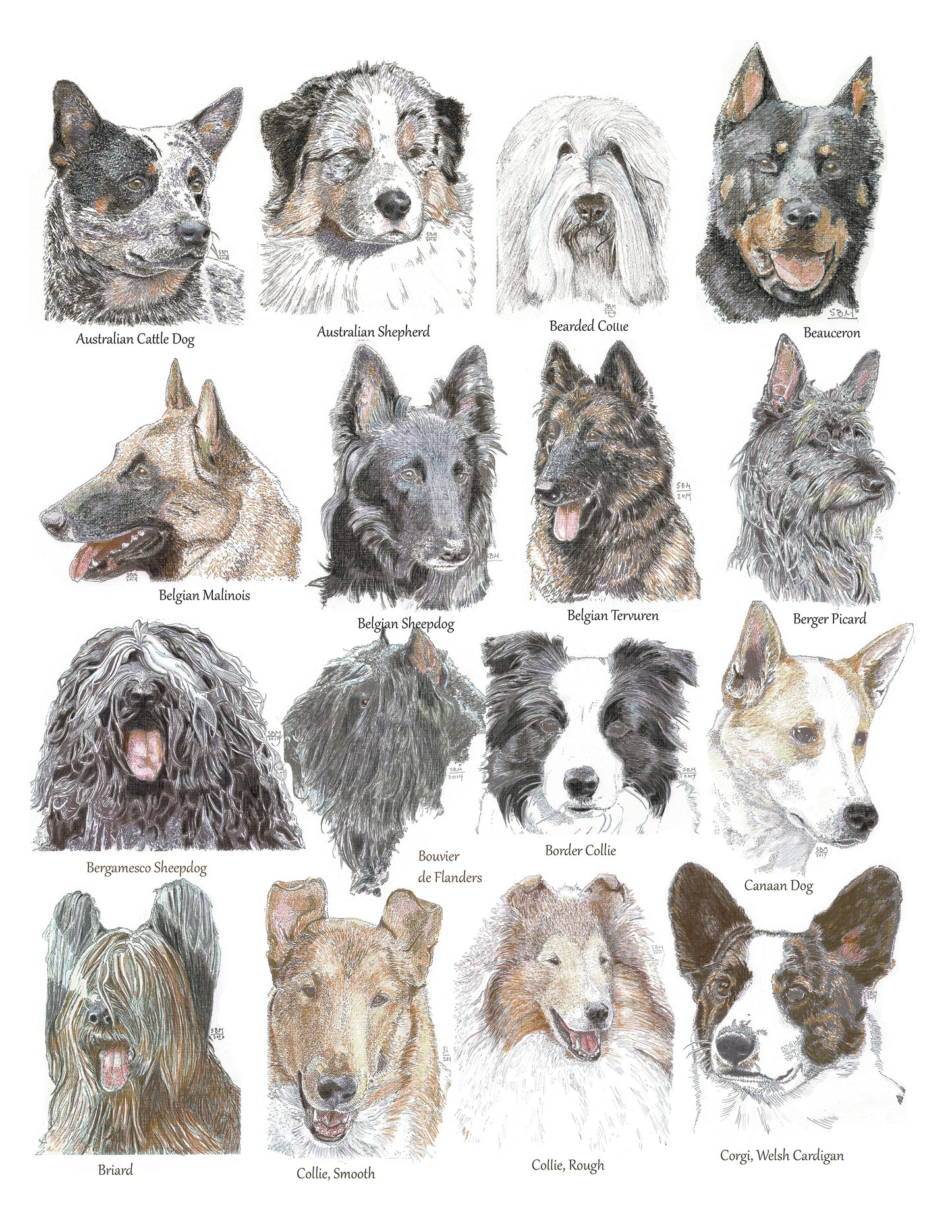 Color Me Canine (Herding Group)