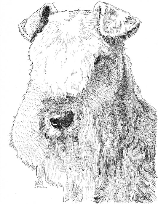 Lakeland Terrier Cards 10 cards