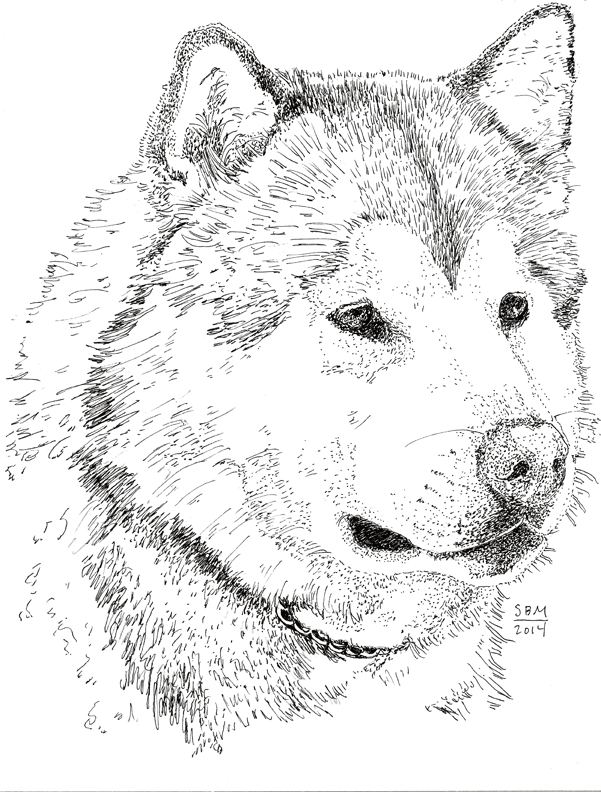 Alaskan Malamute Cards 10 Cards